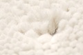 talis teppiche Nepalteppich SIAM Deluxe Farbe 1 weiß