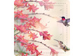 Kleine Wolke Dusch- & Wanneneinlage Kolibri Multicolor
