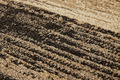 Luxor Living Teppich CASTELL Braun gemustert