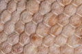 Sansibar Handwebteppich Hörnum UNI dark beige