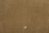 In beige: JAB Anstoetz Teppichboden Clarity 3741/477