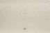 In beige: JAB Anstoetz Teppichboden Dune 3719/093