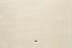 In beige: JAB Anstoetz Teppichboden Fame 3753/175