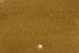 In gelb: JAB Anstoetz Teppichboden Galaxy 3740/347