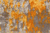In gelb: JAB Anstoetz Teppichboden Kalahari 3725/348