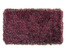 In rot: Peyer Syntex Teppich Sofia Polyshaggy grau-rot