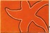 In terrakotta/orange: RHOMTUFT Badteppich STARFISH mango/ecru/zink