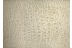 In beige: Wecon home Teppich Croco WH-0721-08