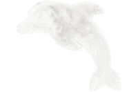me gusta Kinderteppich Lovely Kids 925-Dolphin Weiß 64 x 90 cm