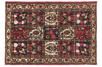 Oriental Collection Orientteppich Bakhtiar Multi Felder 65 x 95 cm