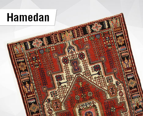 Teppich Orientteppich Klassisch Persisches Design mit Umrandung Beige 6 Größen 